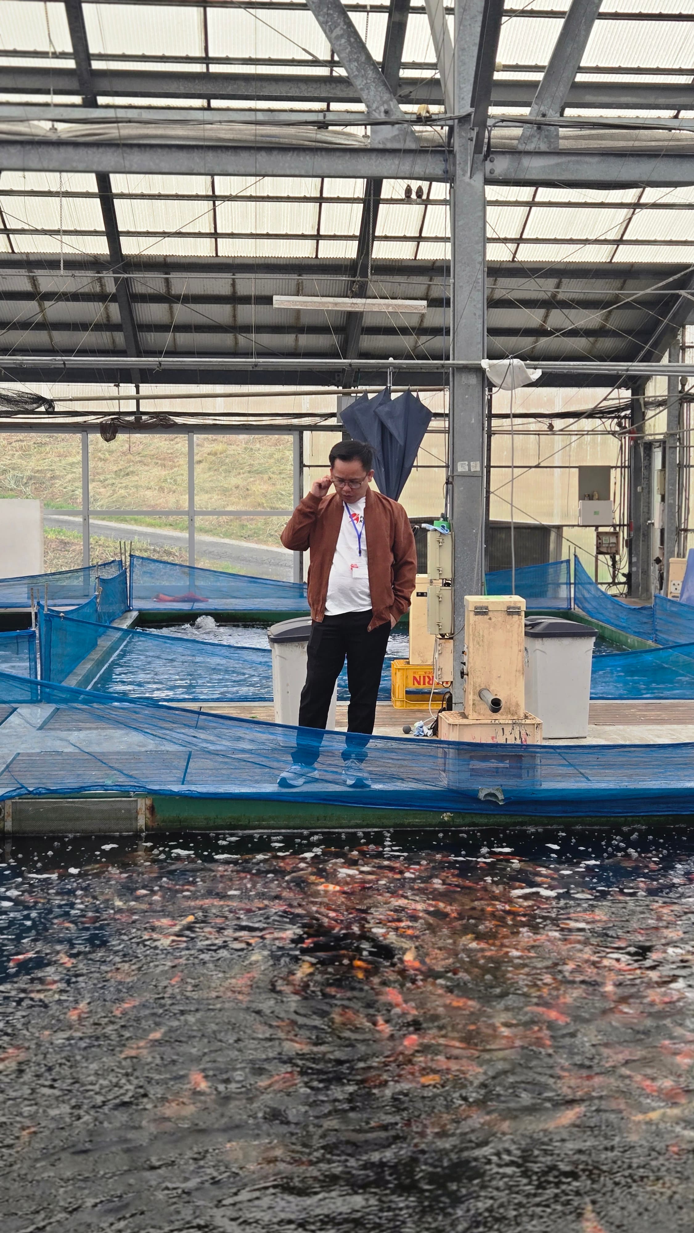 Komunitas pecinta koi